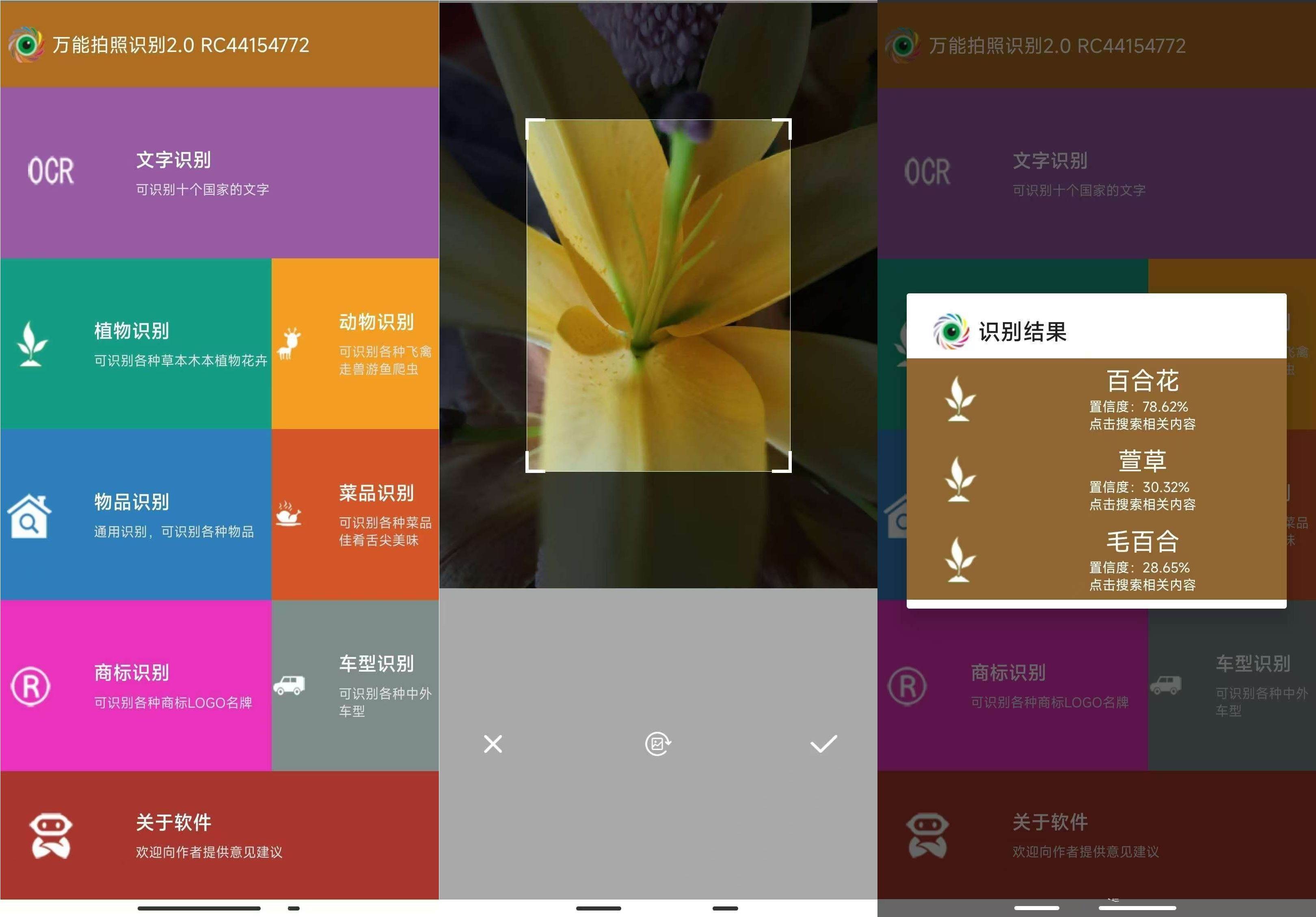 万能拍照识别v2.0一款多功能拍照识别应用-蕾格格部落-蕾格格下载站