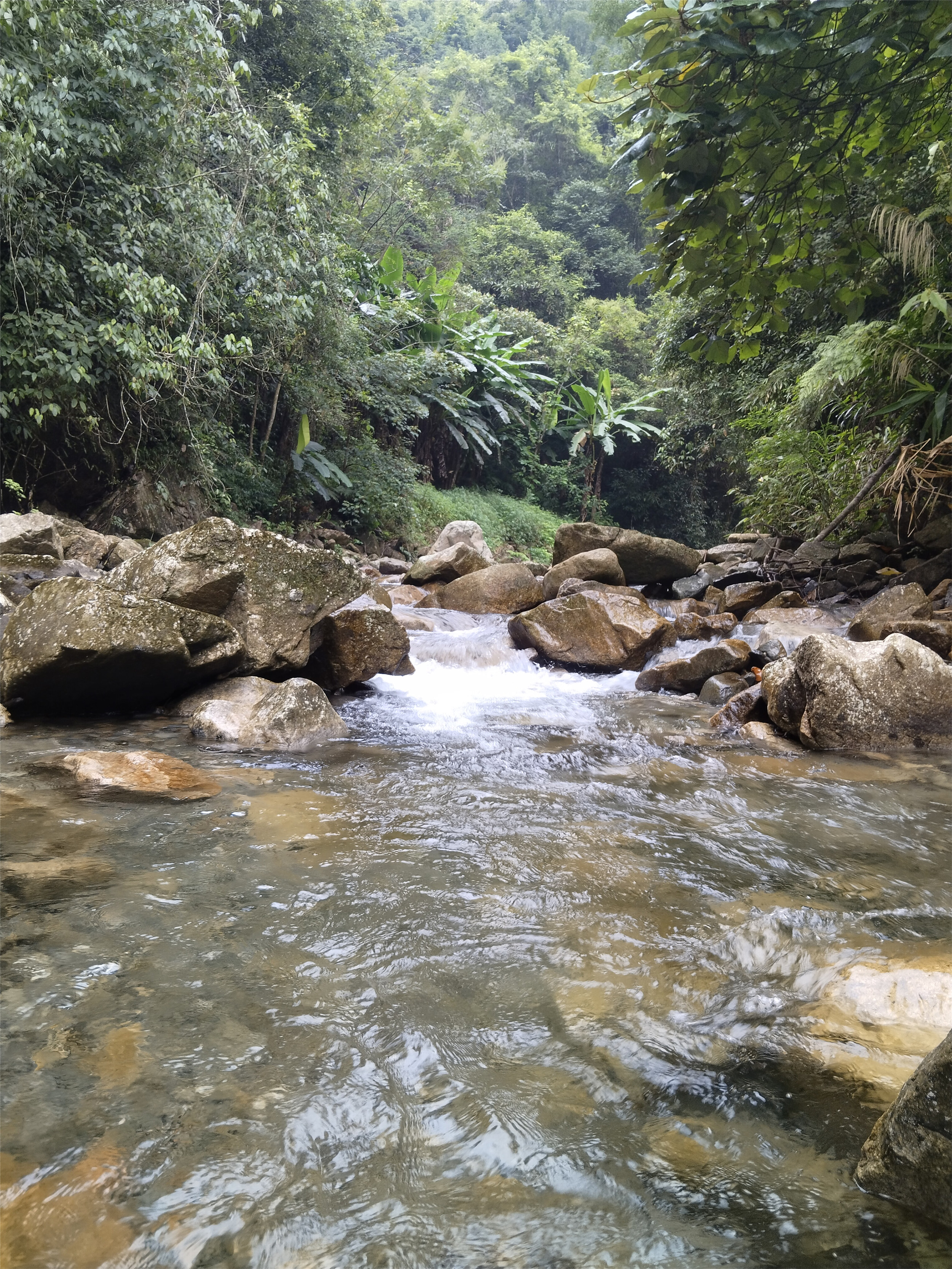 山泉水是否适合煮饭,泡茶等日常使用?