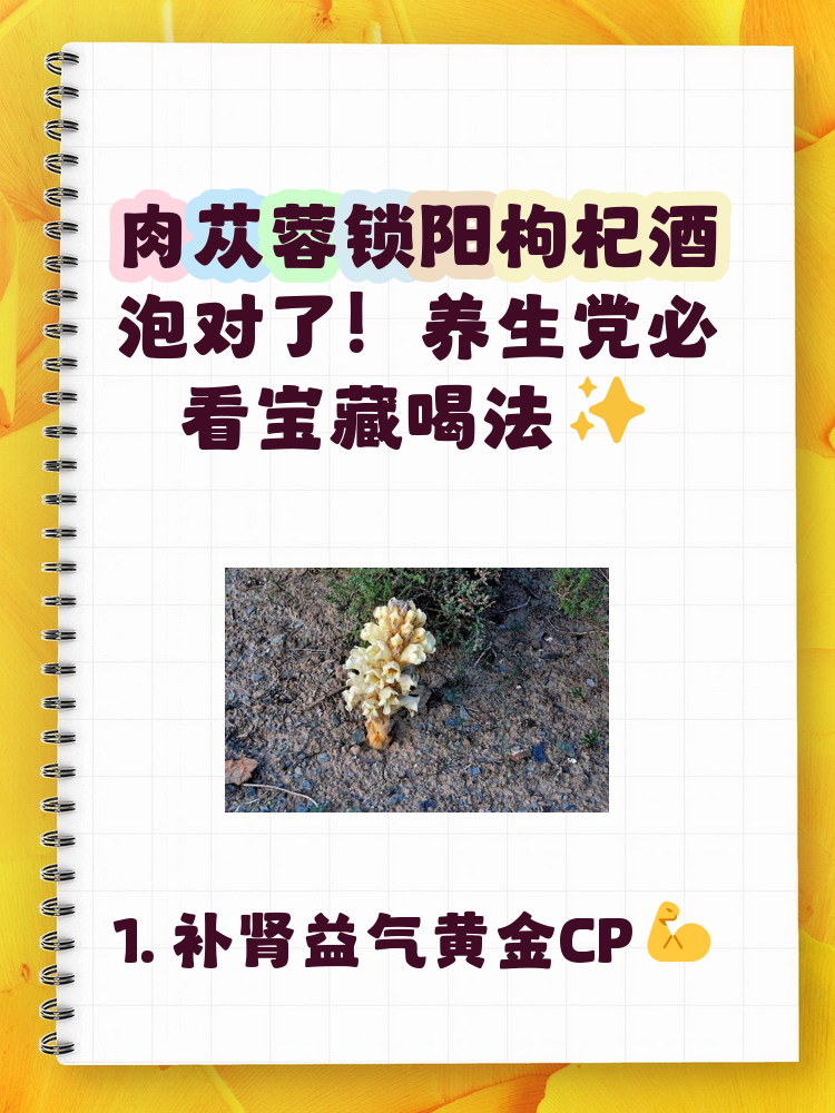 肉苁蓉锁阳枸杞泡酒功效