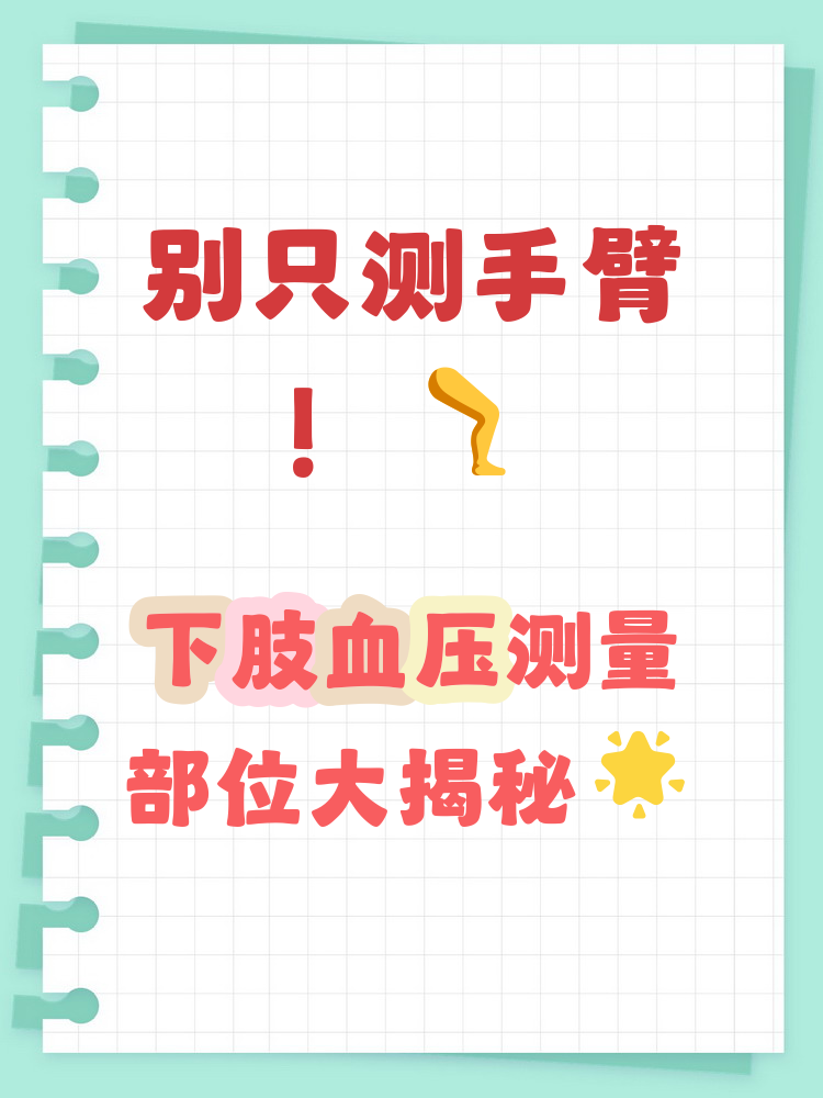 下肢血压测量部位 测量下肢血压不仅仅靠手臂,主要部位包括大腿的股