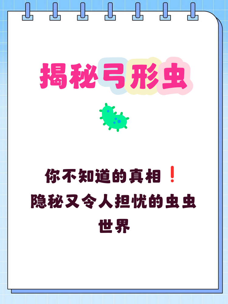 弓形虫是一种常见的寄生虫,以猫为主要宿主,通过猫