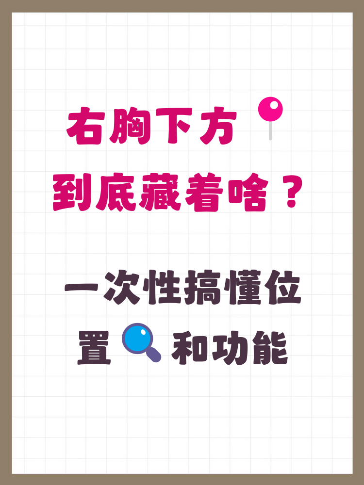 右胸下方主要是肋骨下方和腹部右上象限,这里