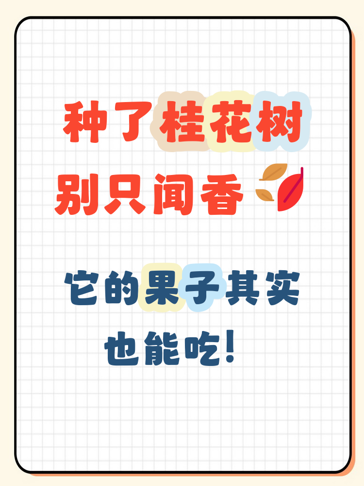 桂花树结出的果实叫"桂花果",体积小,颜色多为