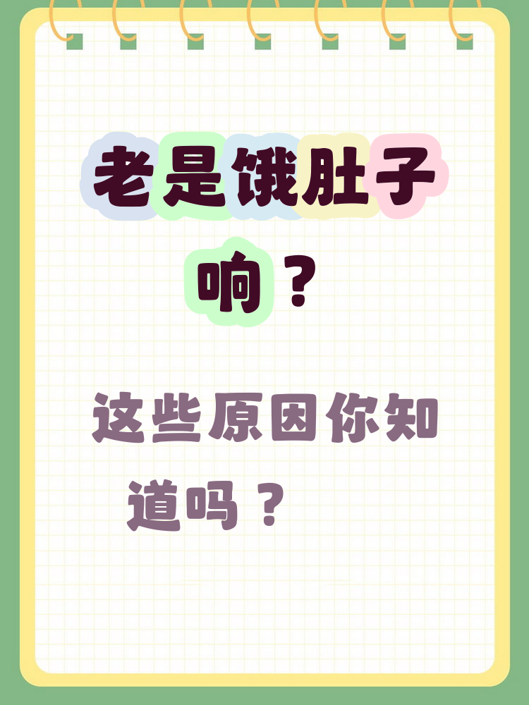 为什么饿得快