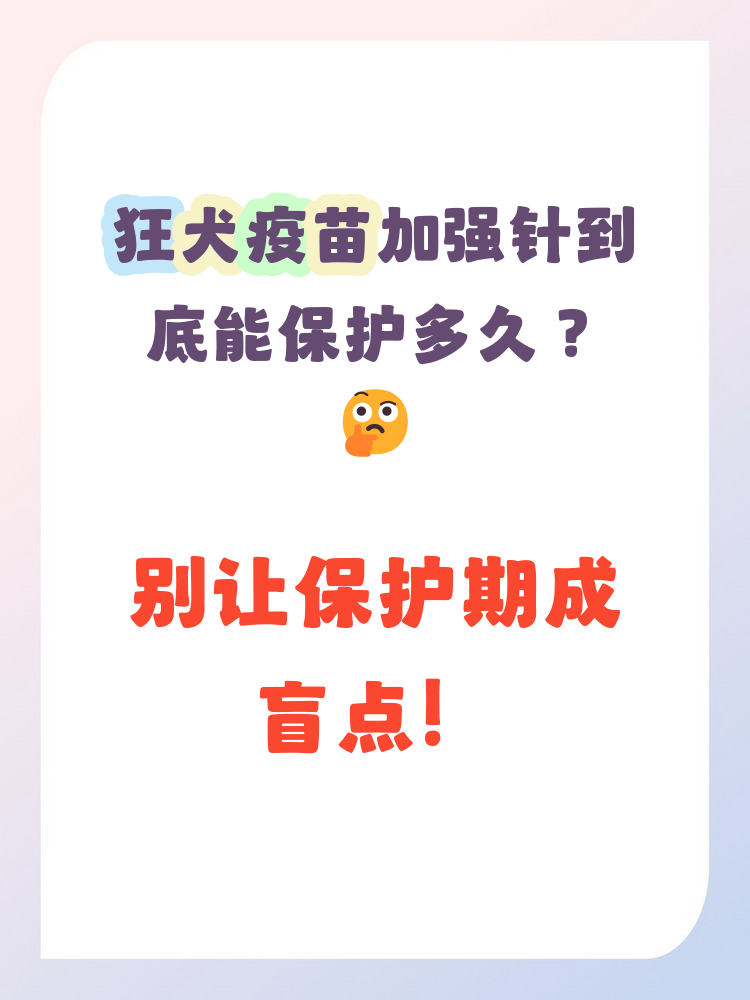  疫苗有效期到期后怎么办(疫苗有效期过了还有抗体吗)