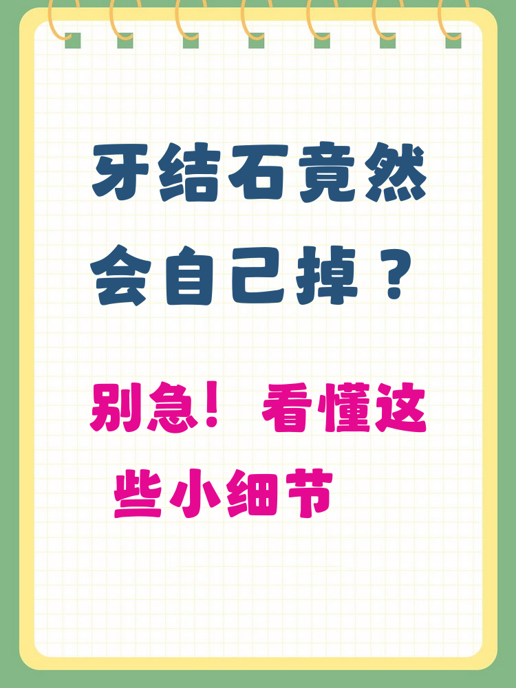 为什么牙结石很臭百科在线 为什么牙结石很臭百科在线
