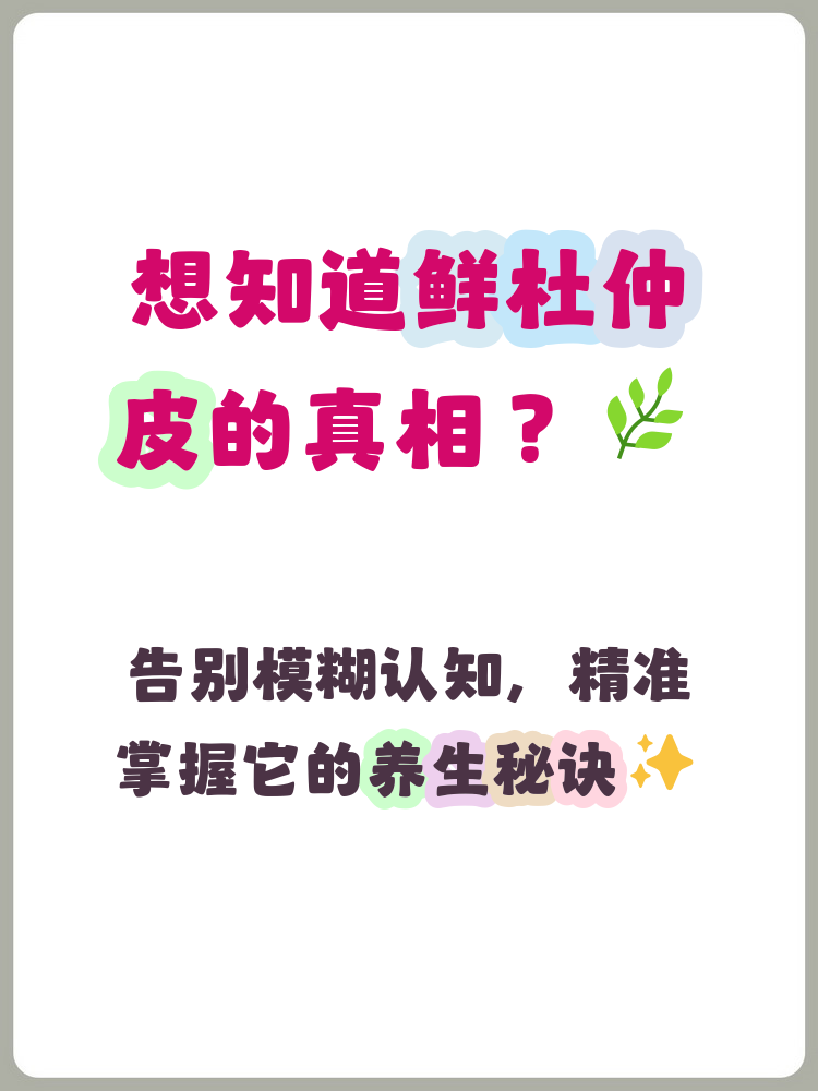 鲜杜仲皮的功效与作用