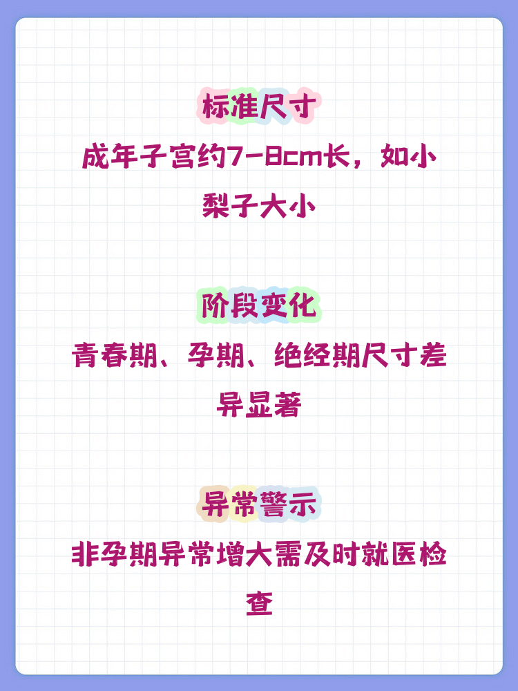 女性子宫大小多少正常