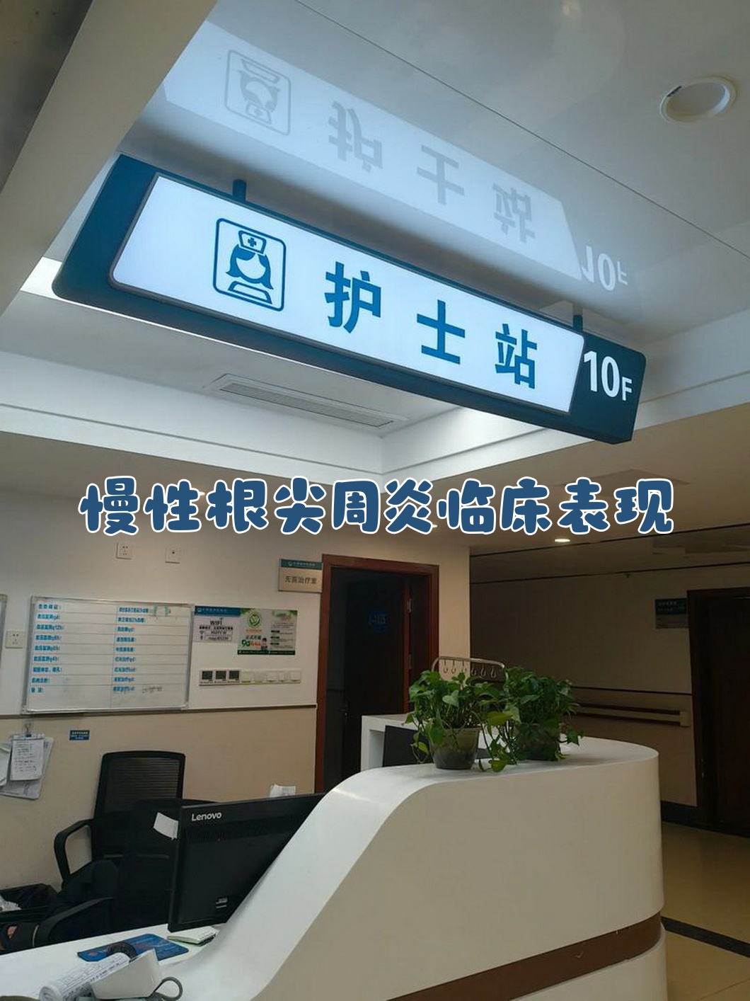 中国医学科学院肿瘤医院、海淀区代挂号，服务在我心满意由您定的简单介绍