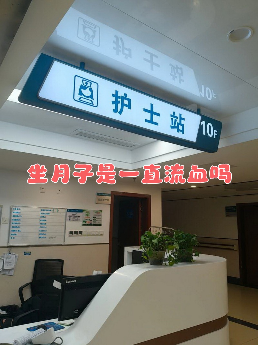 北京妇产医院医疗预约陪护与手续办理-北京妇产医院医疗预约陪护与手续办理流程 