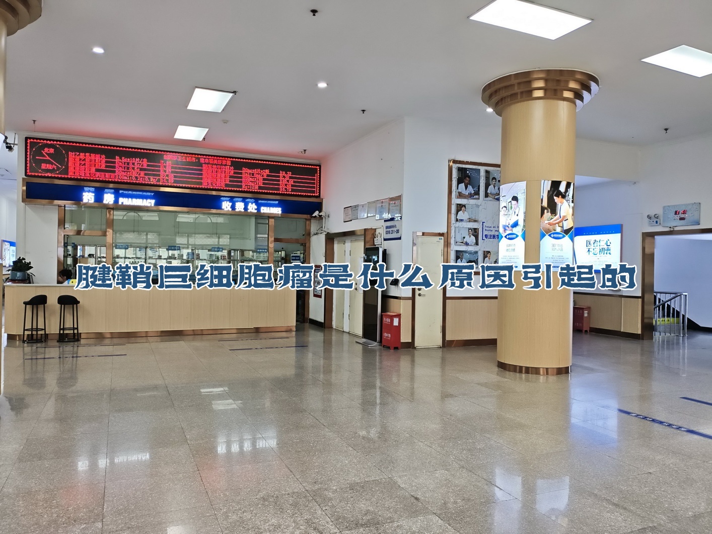 北京大学第三医院、怀柔区代帮挂号，服务好速度快的简单介绍