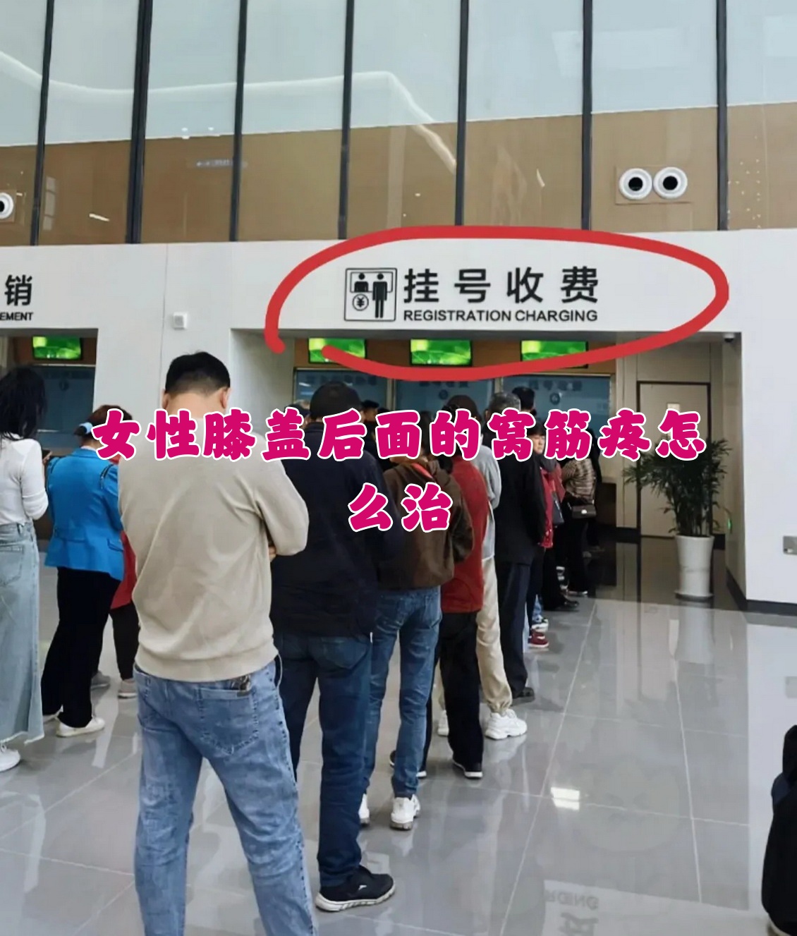 包含周口市中心医院代挂陪诊就医的词条