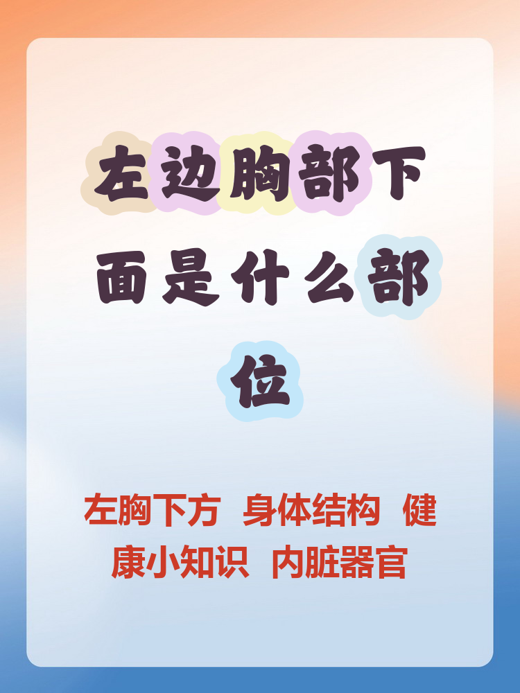 胸正下面是什么左胸下面部分左胸偏下方叫什么左胸口下边的位置是哪里