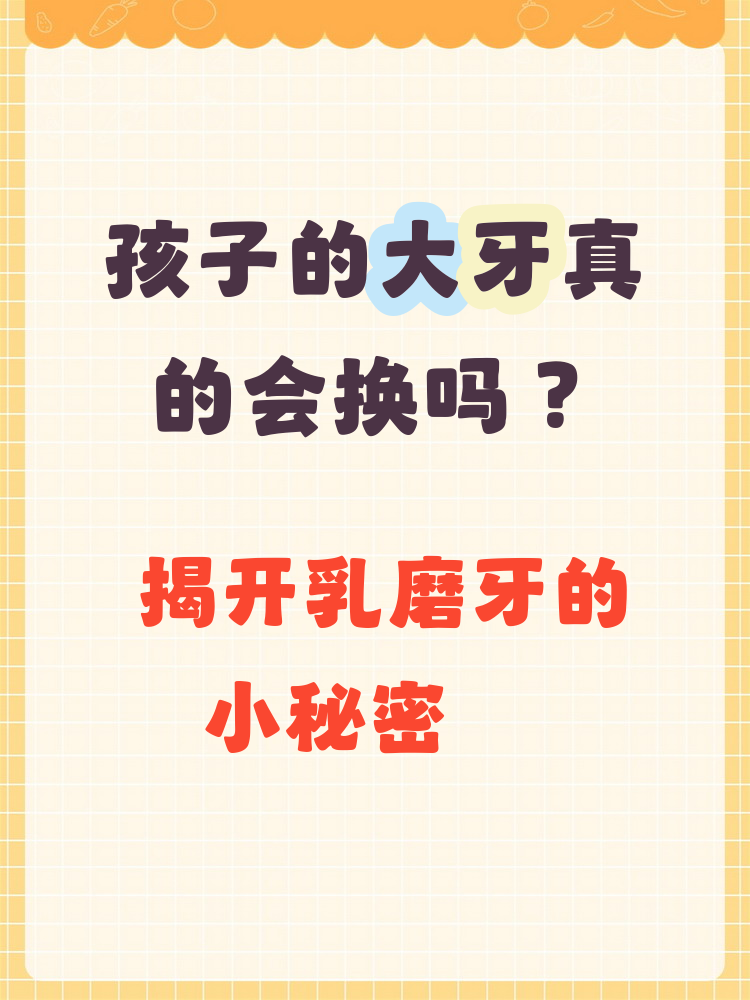 孩子最后面的乳磨牙是属于乳牙,会在孩子的换牙期大约6岁到12岁之间
