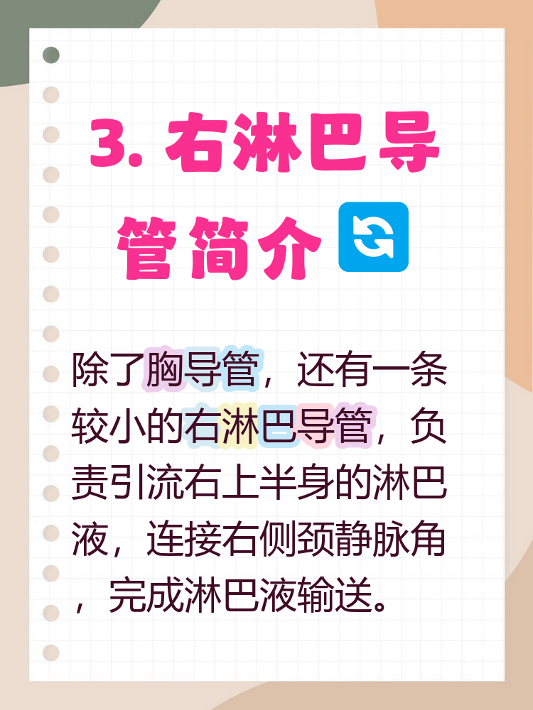 淋巴导管主要包括两部分: 乳糜池胸导管和右淋巴导管