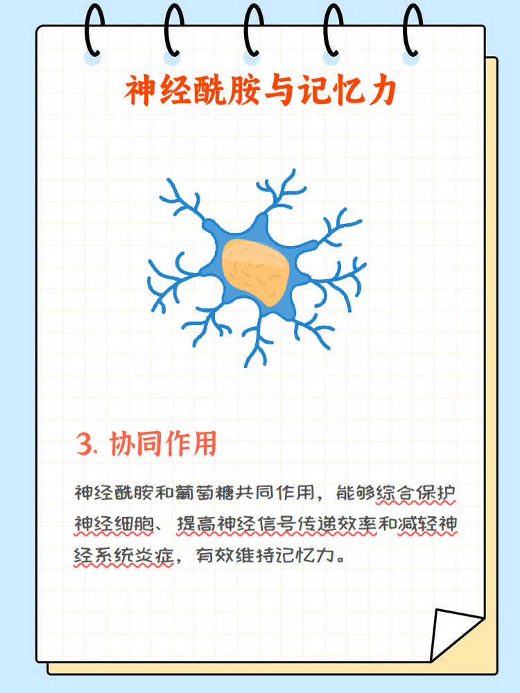 神经酰胺是一种存在于细胞膜中的脂类,具有保护神经细胞和促进