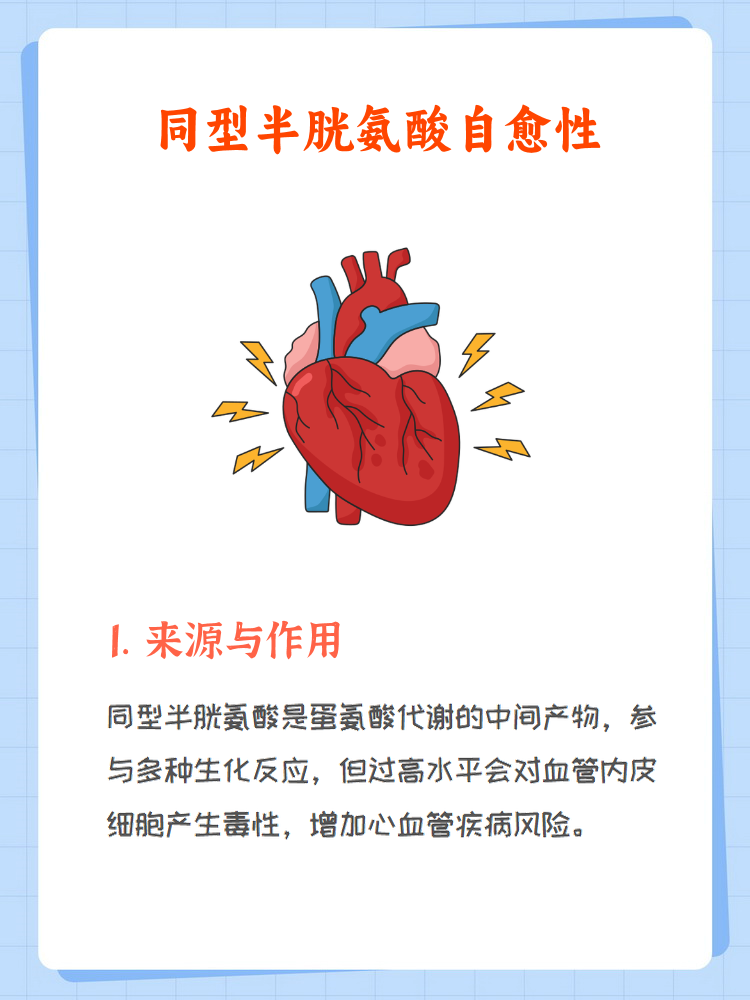 半胱氨酸是一种体内氨基酸代谢的中间产物,其水平过高可能导致心血管