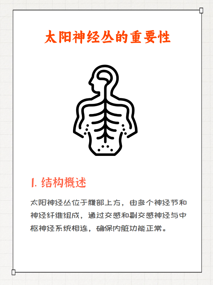 太阳神经丛是人体内一个重要的神经网络,位于腹部上方,主要负责第节