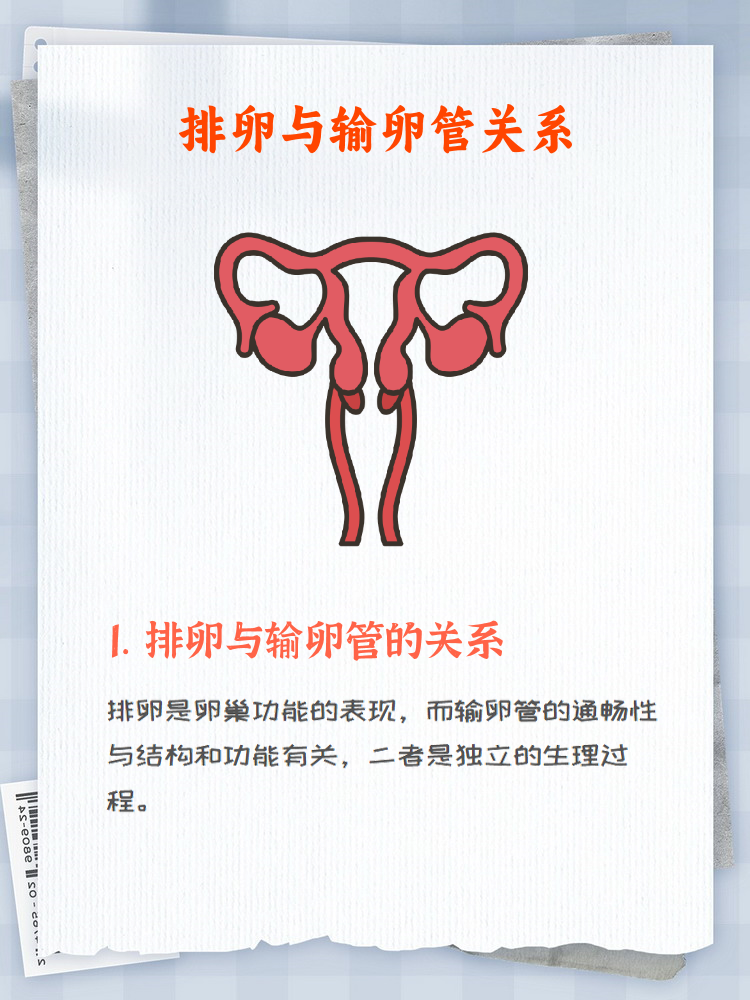 卵泡无卵子是什么原因_卵泡说没就没是怎么回事