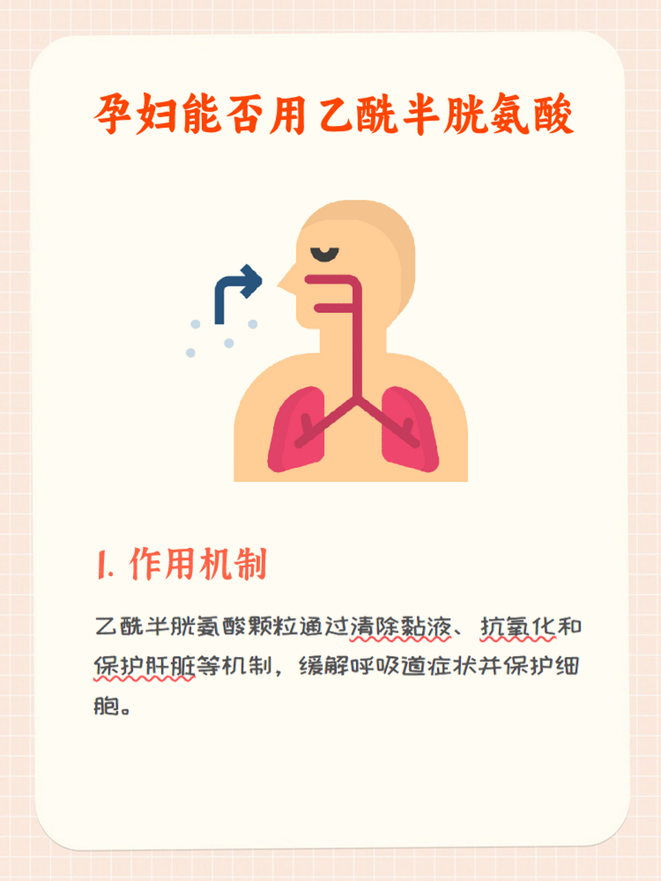 乙酰半胱氨酸作用机制图片