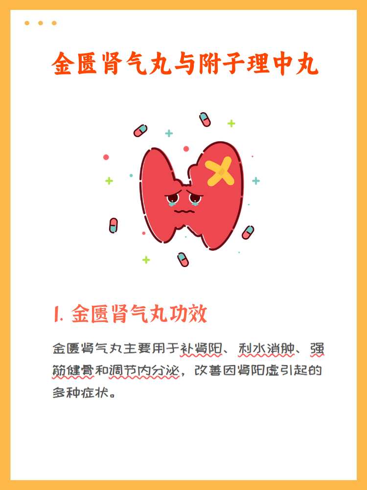 金匮肾气丸和附子理中丸是中成药,它们各自具有独特的功效,但联合使用