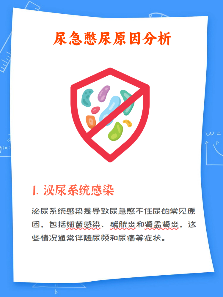 为什么憋不住尿