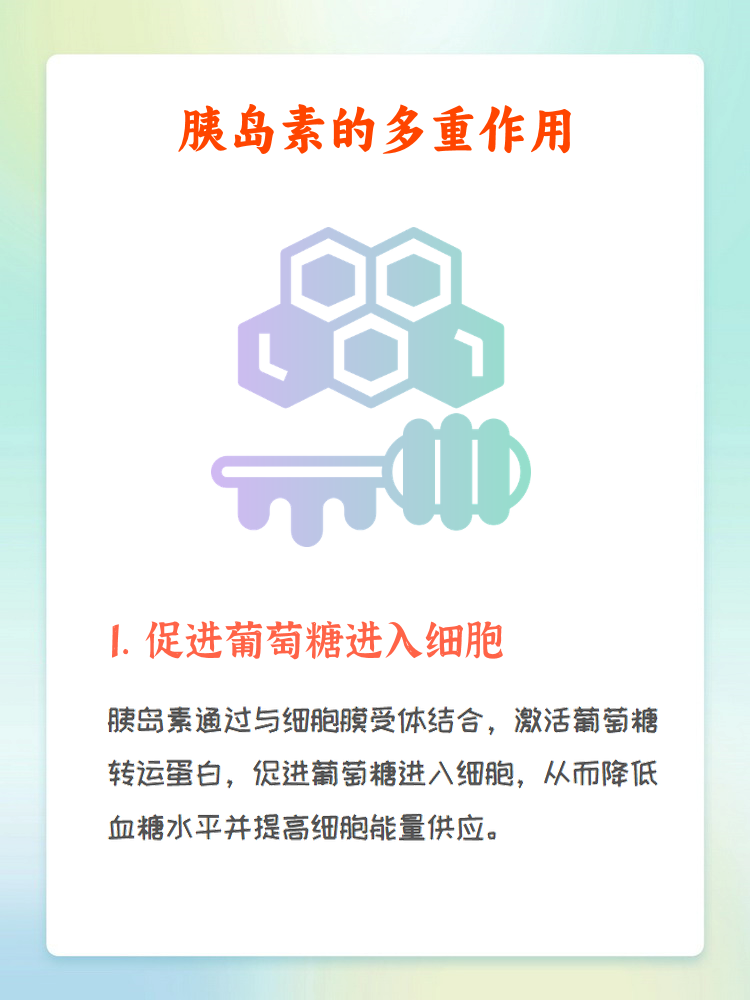 蜂胶辅助降血糖的原理(蜂胶辅助降血糖的保健功能)