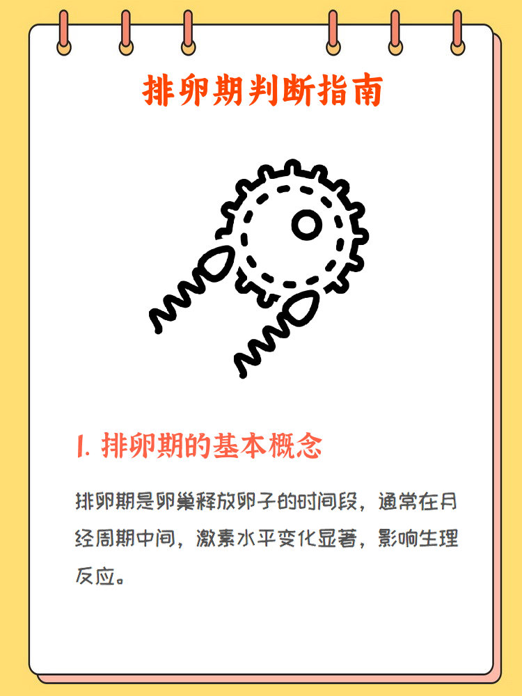 怎样才可以促进排卵_怎样才可以促进排卵呢