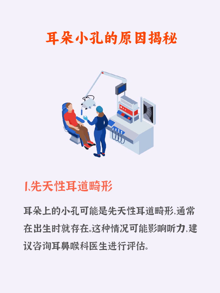 小耳朵是怎么形成的图片