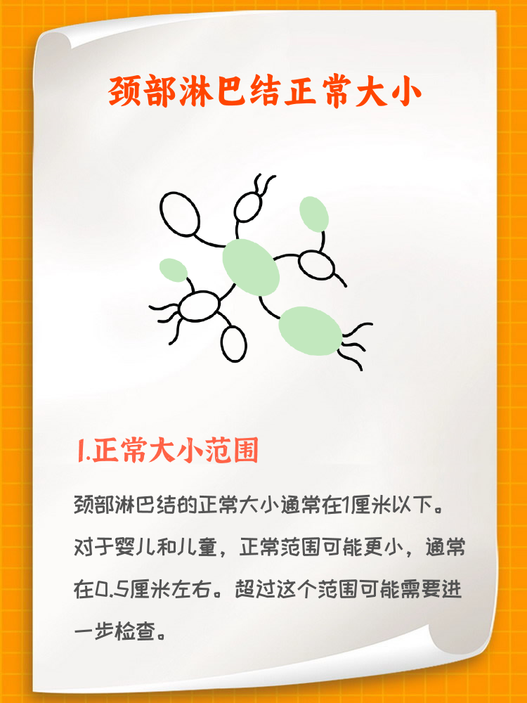 颈部淋巴结正常大小范围是多少