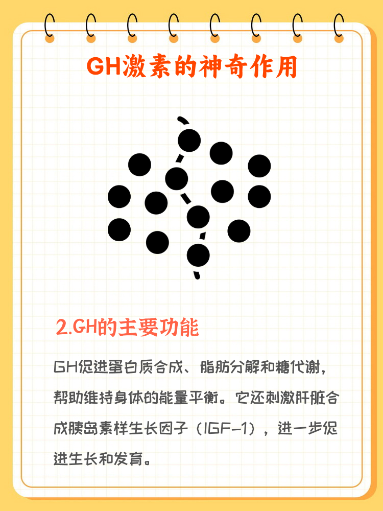 gh是由脑下垂体分泌的生长激素