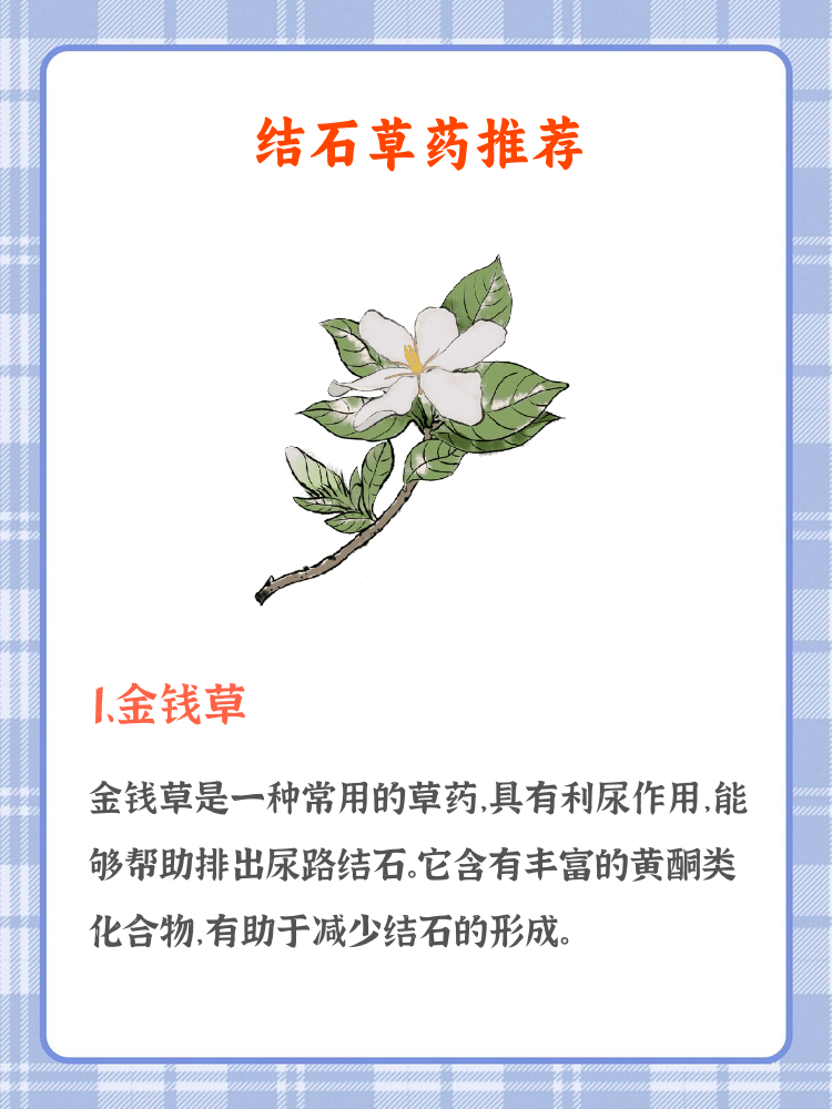 3. 茯苓:健脾利水,改善肾脏功能