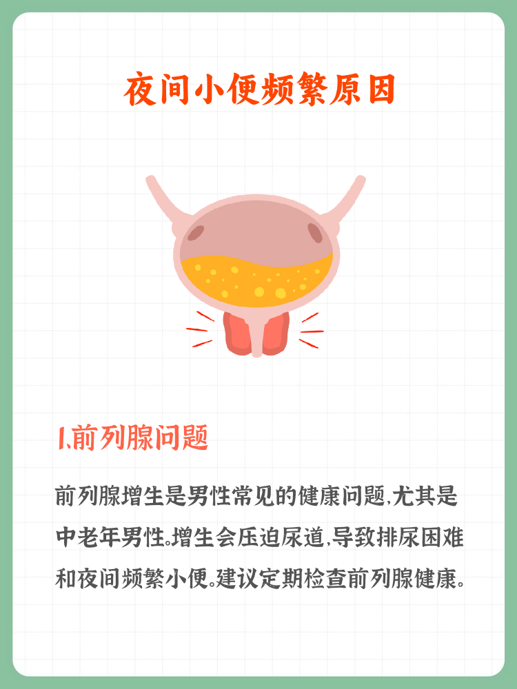 为什么晚上尿的次数多女性量还多为什么在线