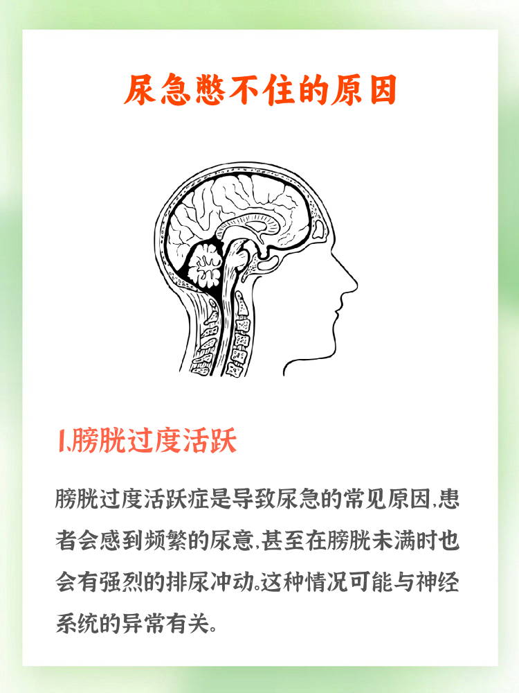 为什么总是有尿急的感觉