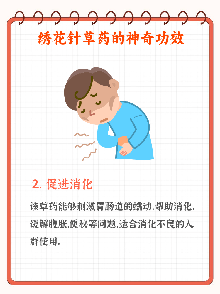 抗炎作用:减轻身体炎症反应