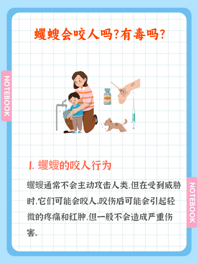 蠼螋会咬人吗?有毒吗?