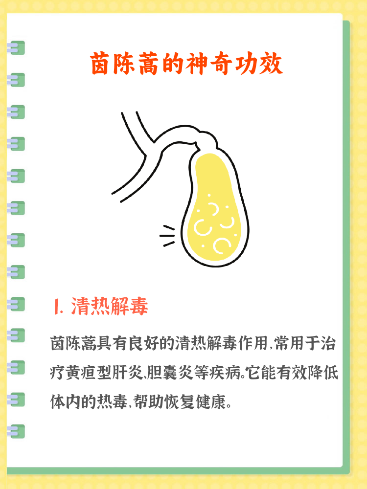 为什么医生不建议喝茵陈