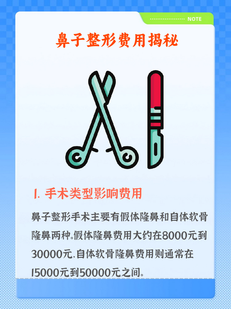 做鼻子大概需要多少钱 1 不同的手术类型影响费用 2.