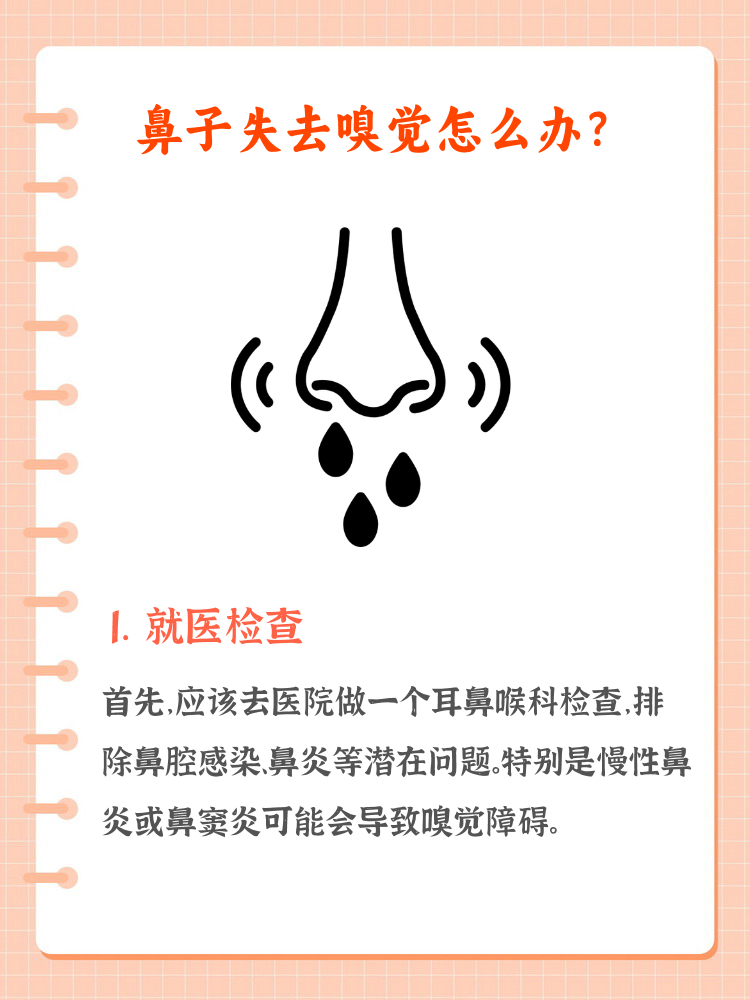 为什么没有嗅觉 为什么没有嗅觉