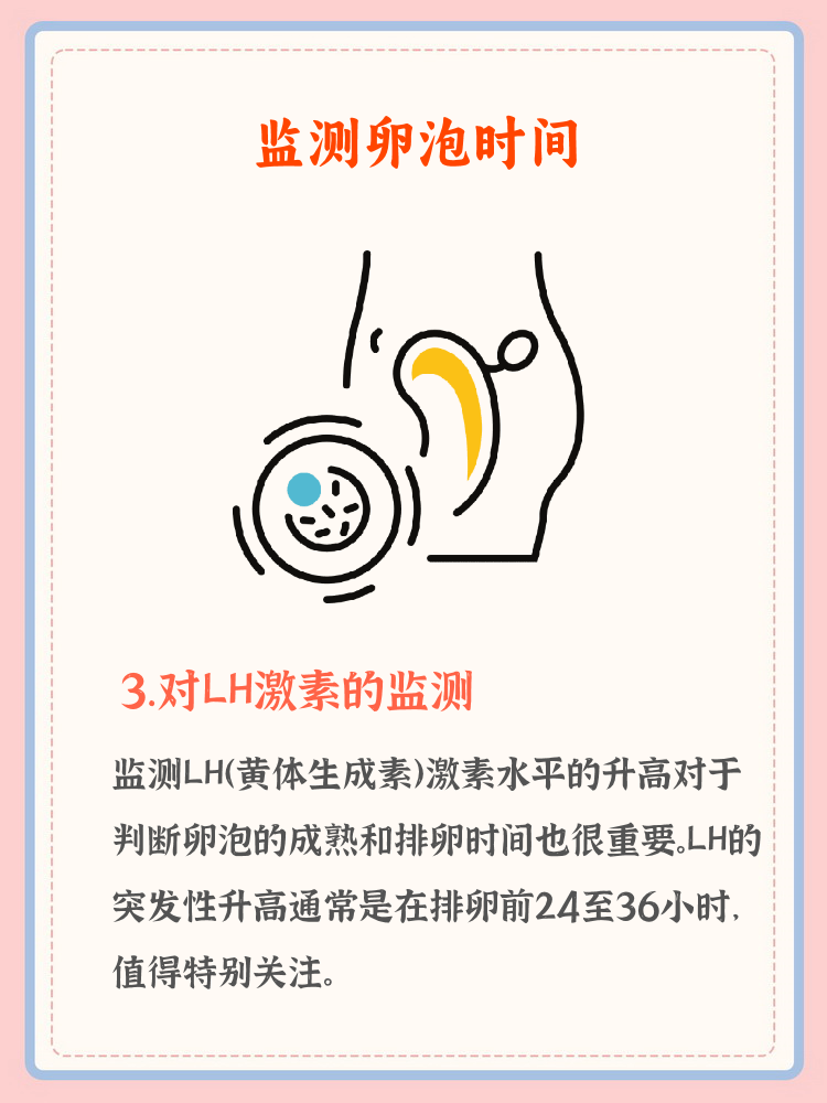 卵泡是怎样监测的的简单介绍