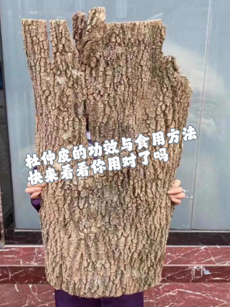 补肝肾:杜仲皮具有补益肝肾的杜仲树皮的功效与作用及食用方法杜仲