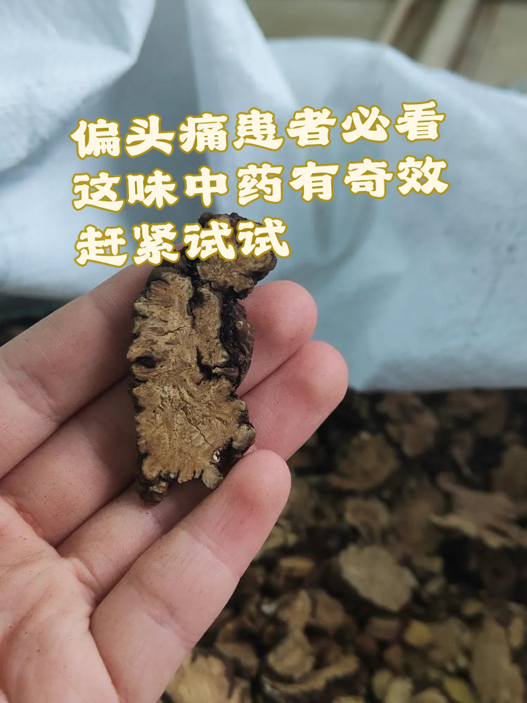 药性温和:川芎是一种