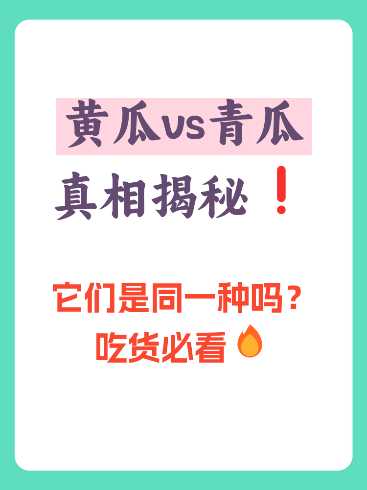 黄瓜与青瓜在外观和口感上有相似之处,但实际上它们是