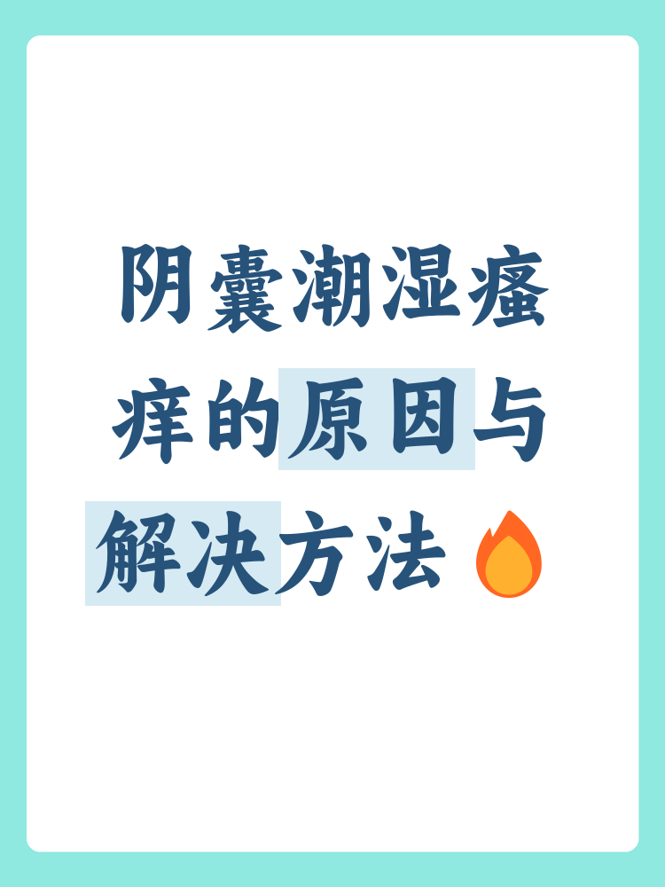 阴囊潮湿瘙痒是什么原因造成的
