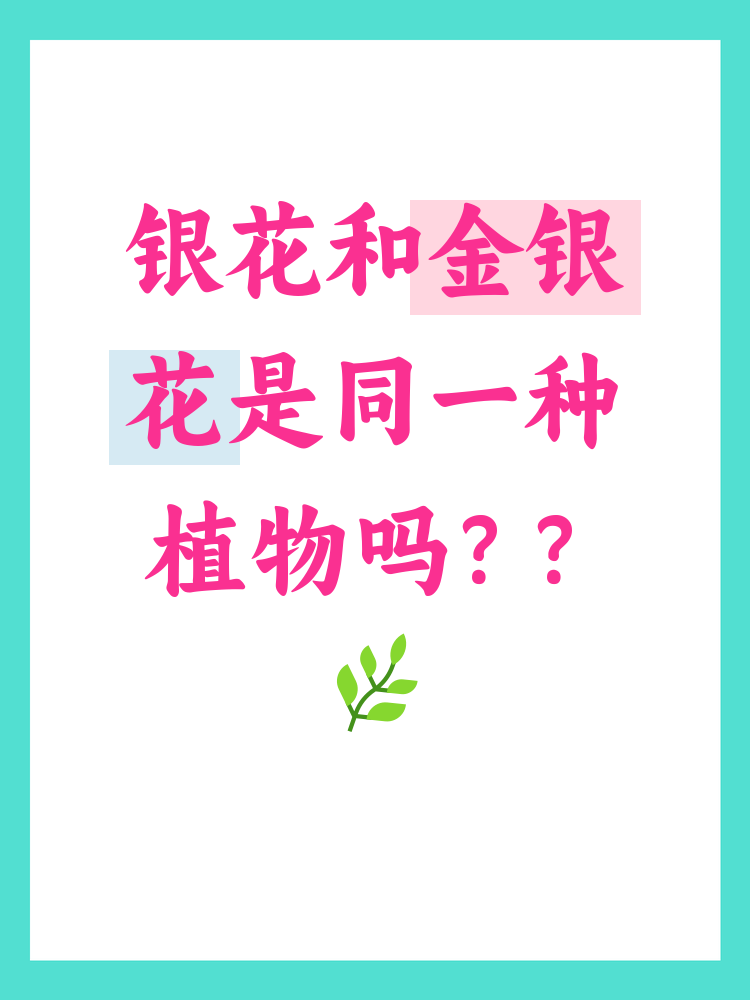 银花和金银花常常被混淆,但它们并不完全相同