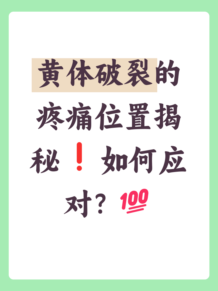 黄体破裂是哪个位置痛