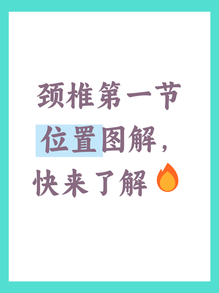 颈椎第一节在哪个位置图