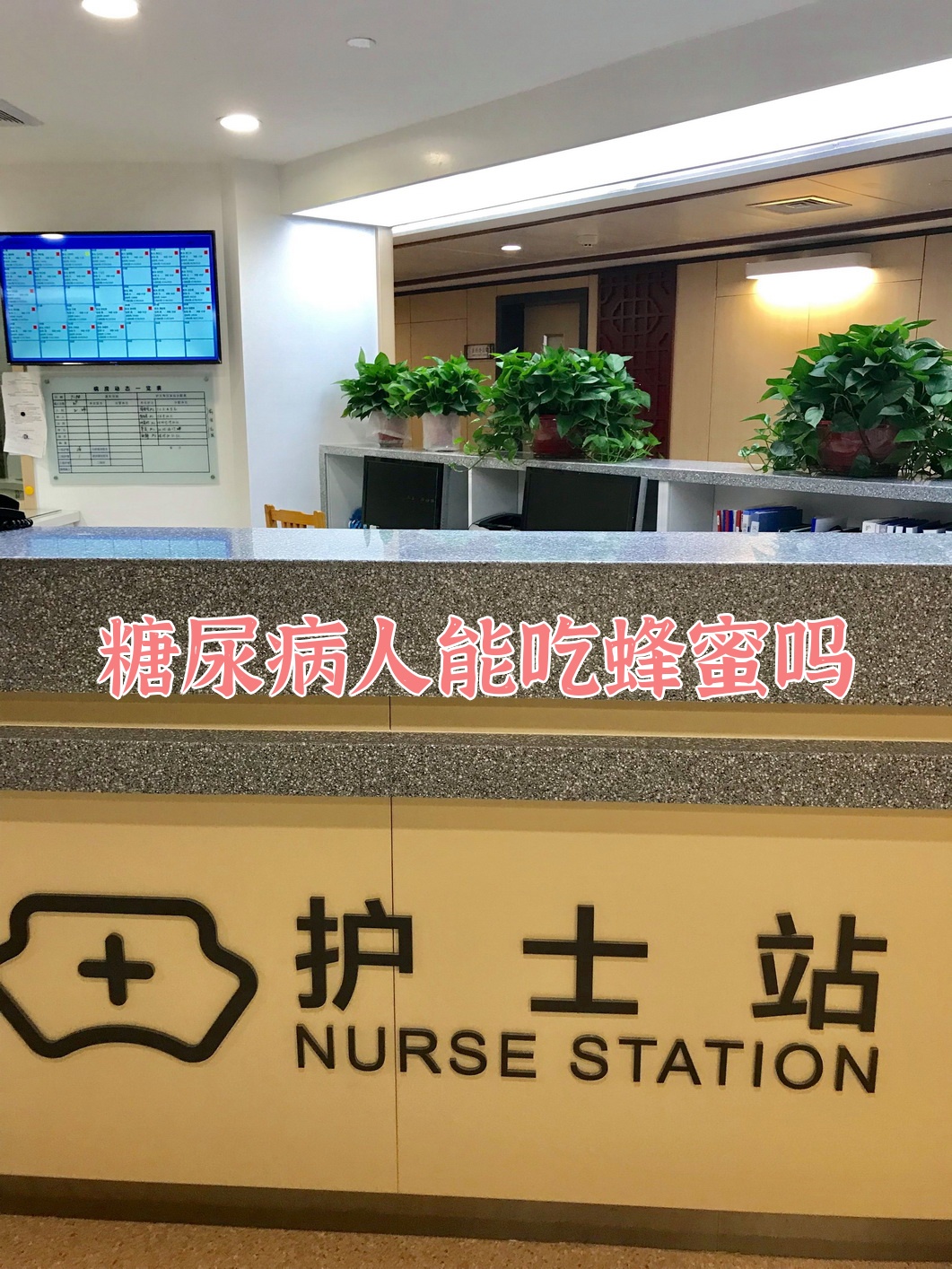 包含糖尿病人能吃蜂蜜吗权威解答的词条