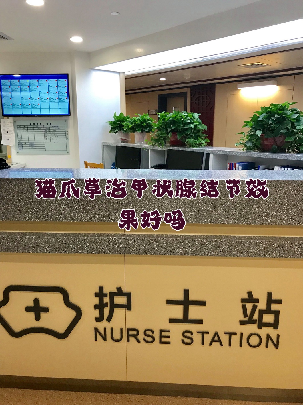 中日友好医院、丰台区代挂号跑腿服务，贴心为您服务的简单介绍