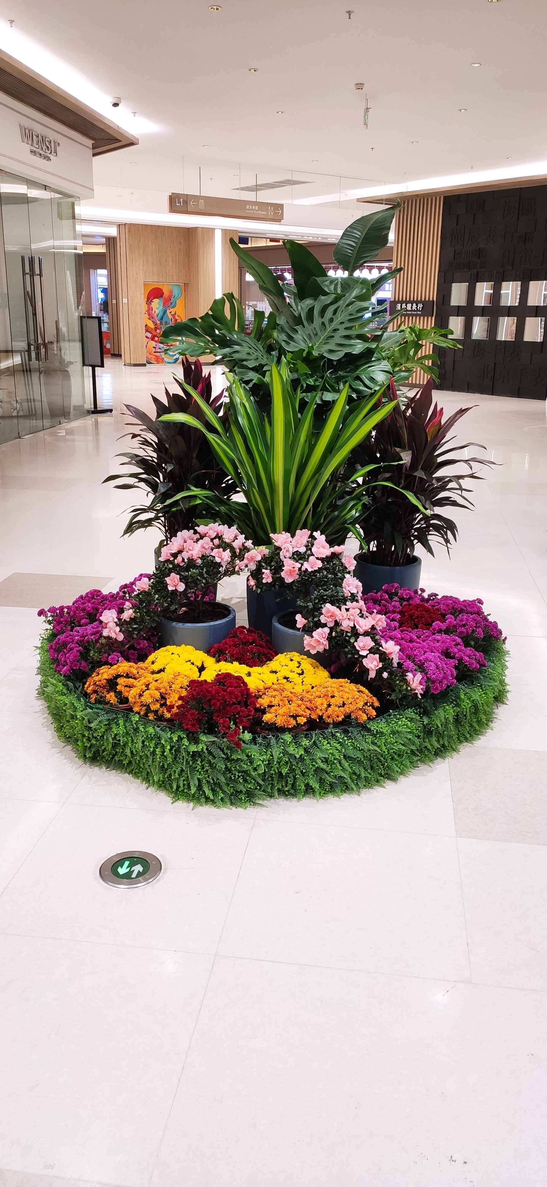 写字间绿植租摆厂家专业养护